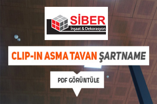 Project Title