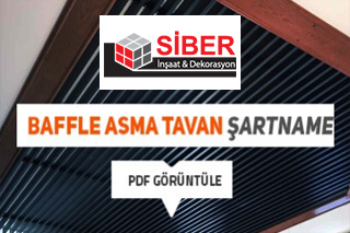 Project Title