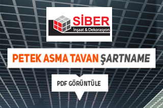 Project Title
