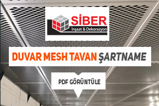 Project Title