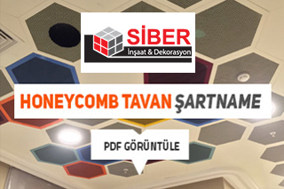 Project Title