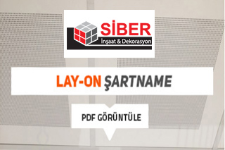 Project Title