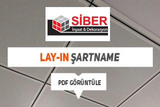 Project Title